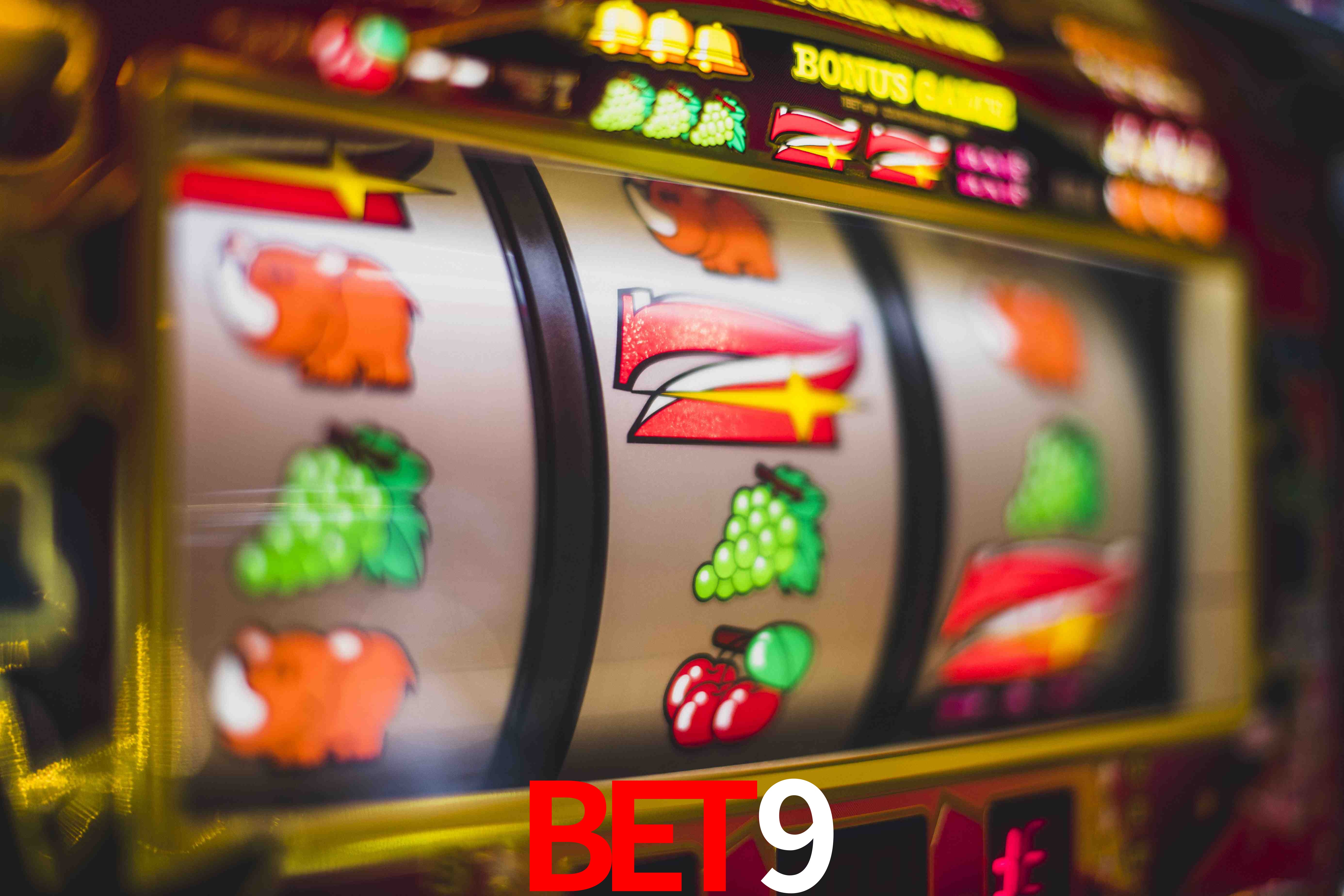 Sports Statistics bet9